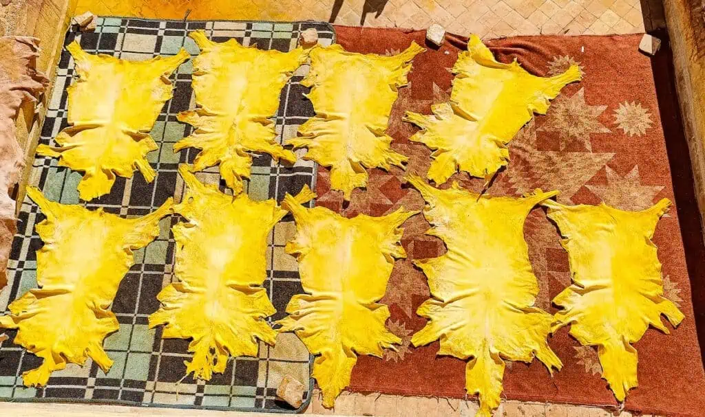 Hides drying and bleaching in the sun that are used to make leather goods and some of the best souvenirs in Marrakech.