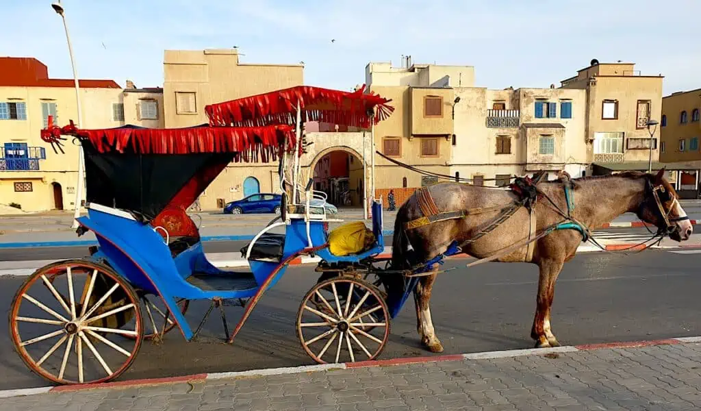 A brown horse is standing on the street with his head out on the right. To the left, you see a blue carriage with a red roof in Essaouira. If you're wondering is Essaouira worth visiting, this is one of the reasons why..