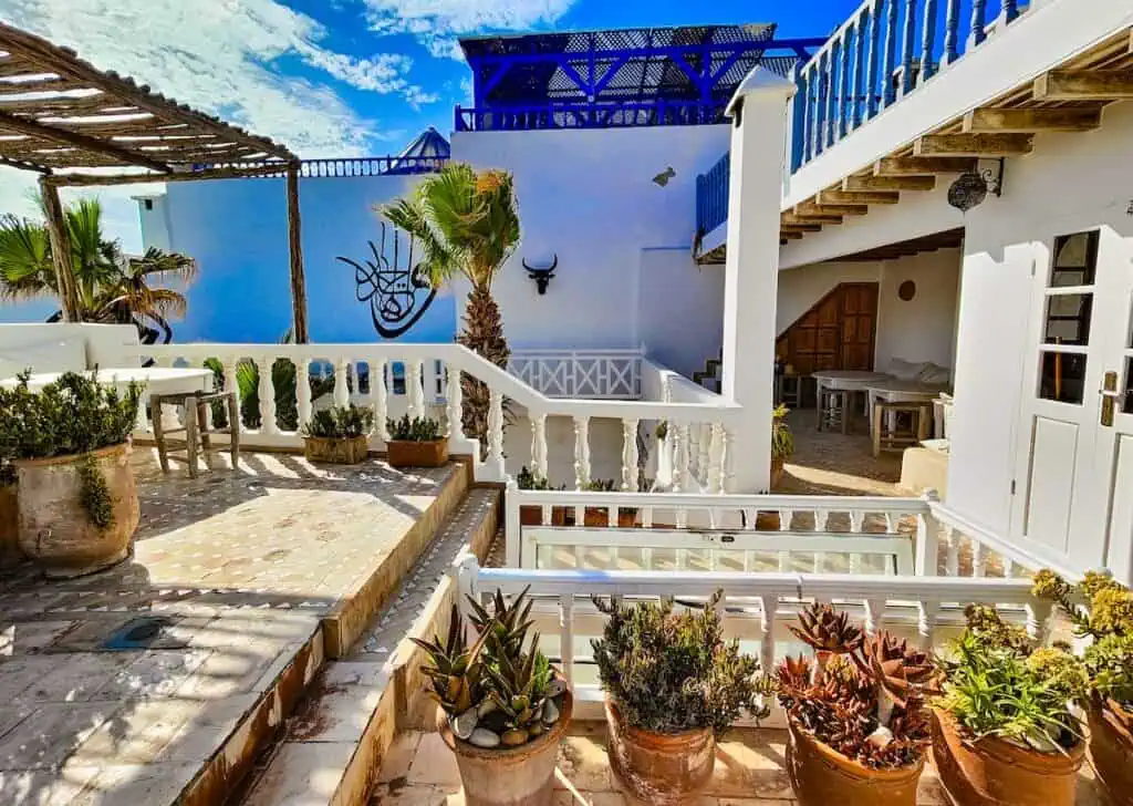 A view of the white rooftop of Baladin Riad with potted plants and white railings and palm trees.