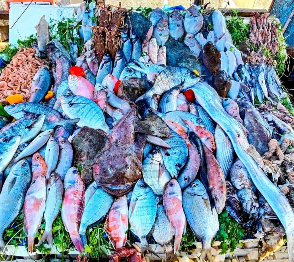 An assortment of fresh fish for sale on a table at the fresh fish market in Essaouira.