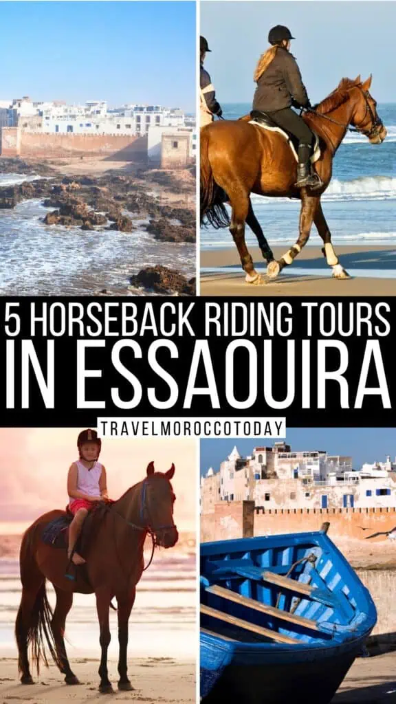 best horse riding in Essaouira