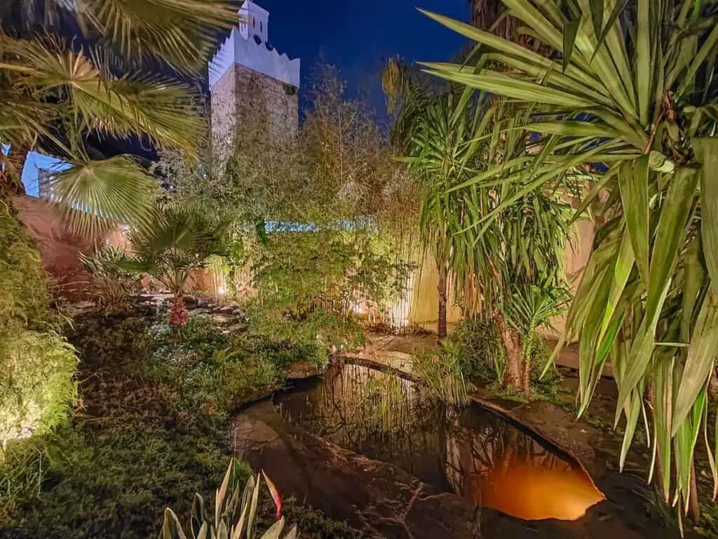 Beautiful view of the garden at Cielo with a pond, palm trees, and a mosque in the background.