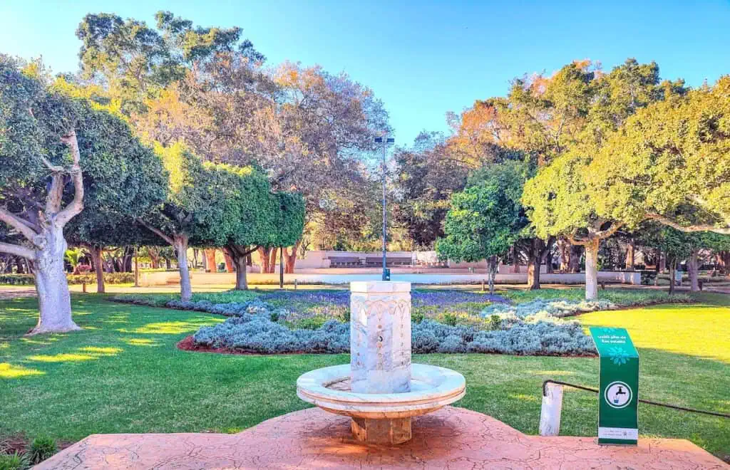 Trees Rabat 19 Best Things to do in Rabat + Amazing Local Tips
