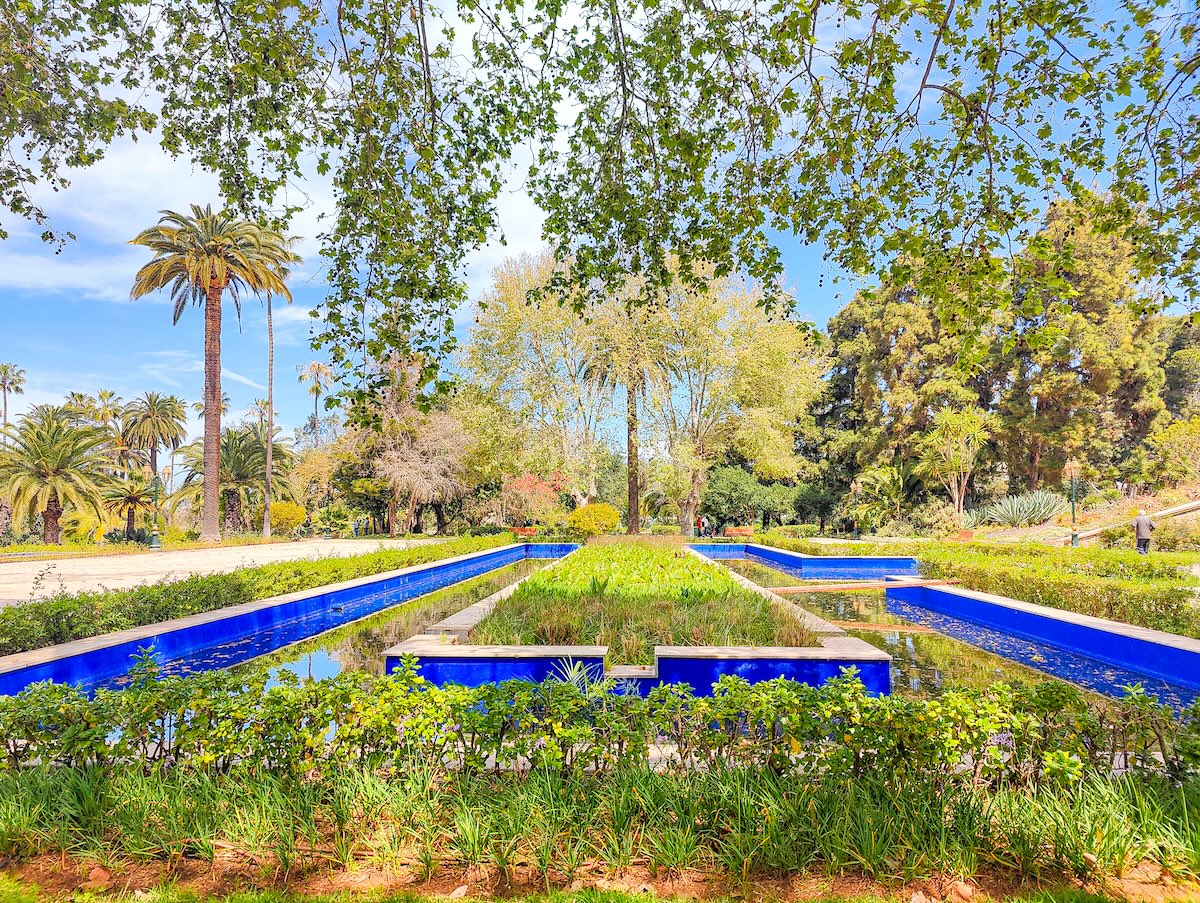 Maple Farm Rabat 19 Best Things to do in Rabat + Amazing Local Tips
